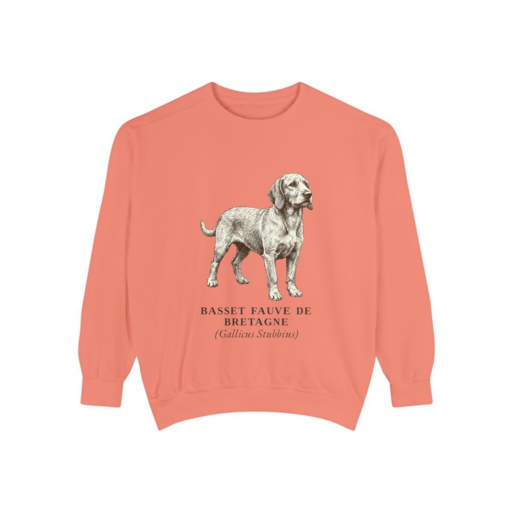 Basset Fauve de Bretagne Latin Sweatshirt, Terracotta, front view