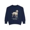 Basset Fauve de Bretagne Latin Sweatshirt, True Navy, front view
