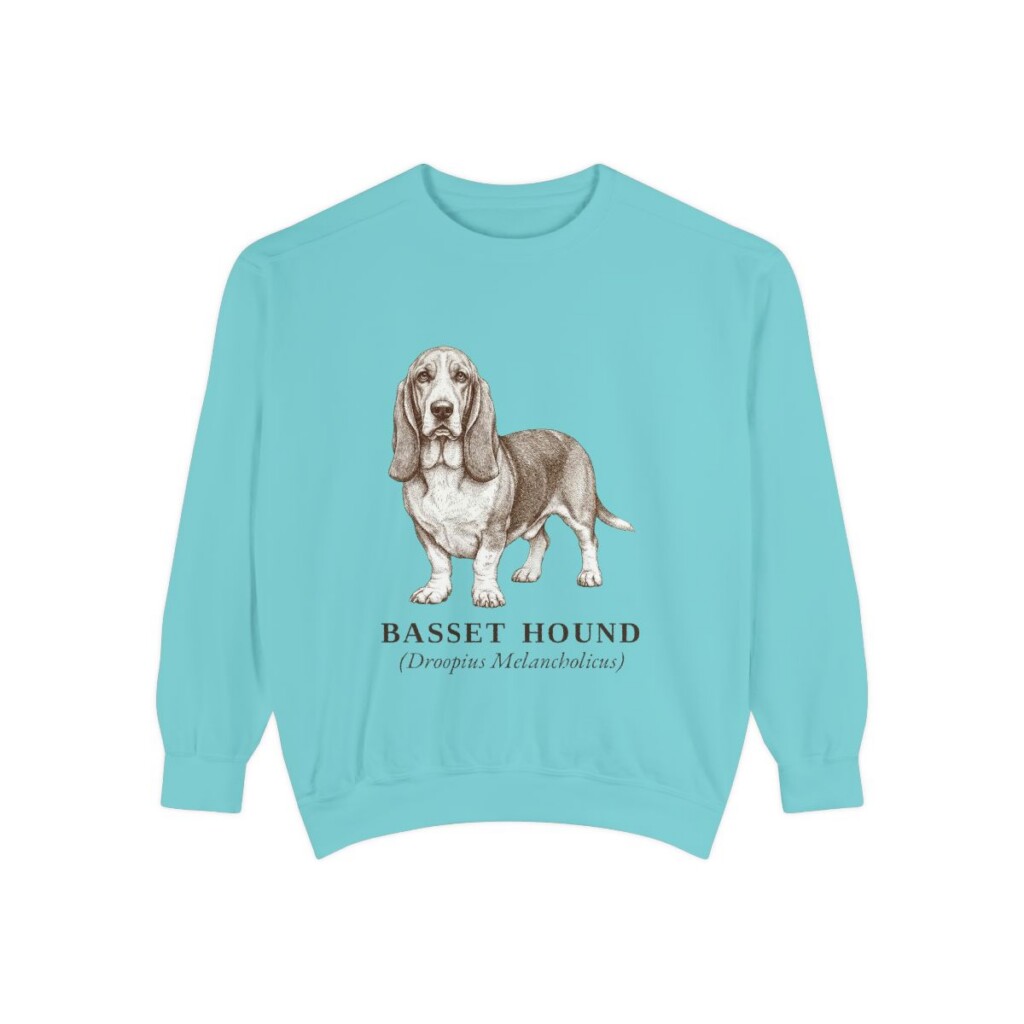 Basset Hound Latin Sweatshirt, Chalky Mint, front view