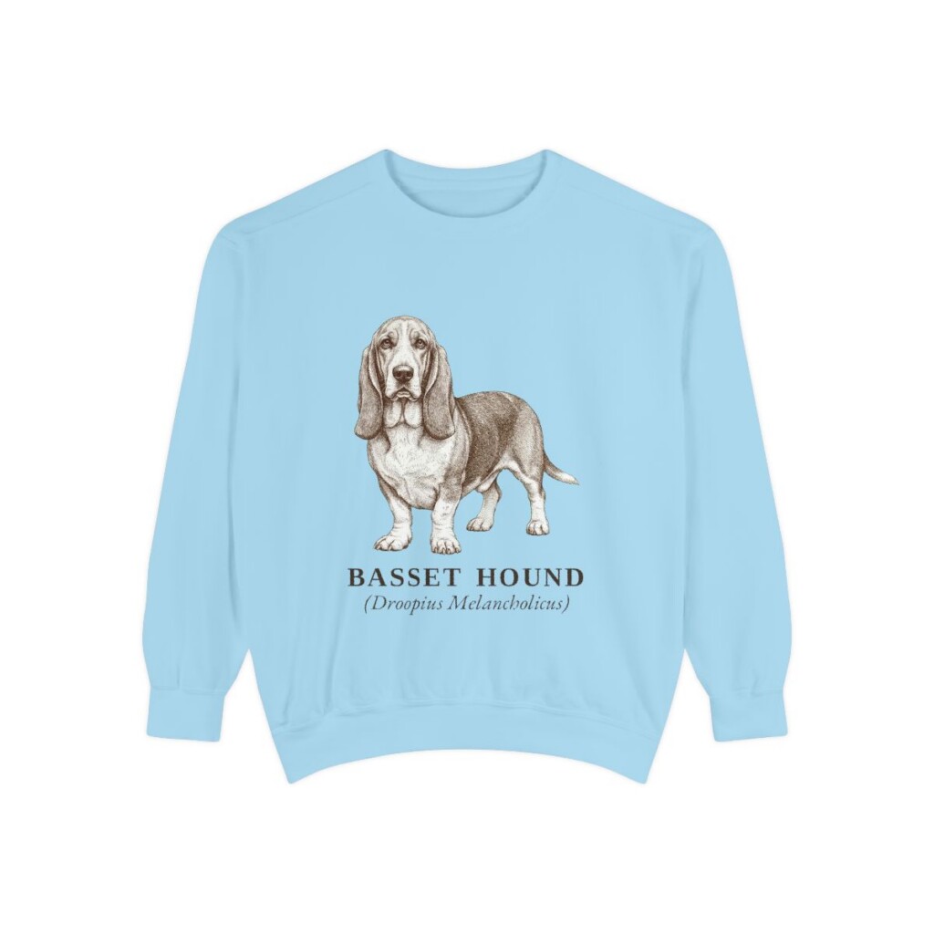 Basset Hound Latin Sweatshirt, Chambray, front view