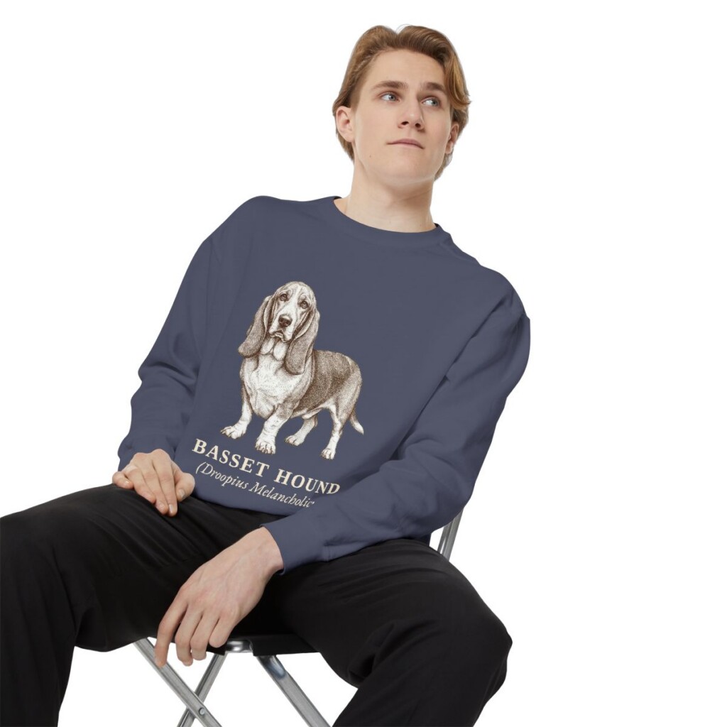 Basset Hound Latin Sweatshirt, Denim, person 1 context