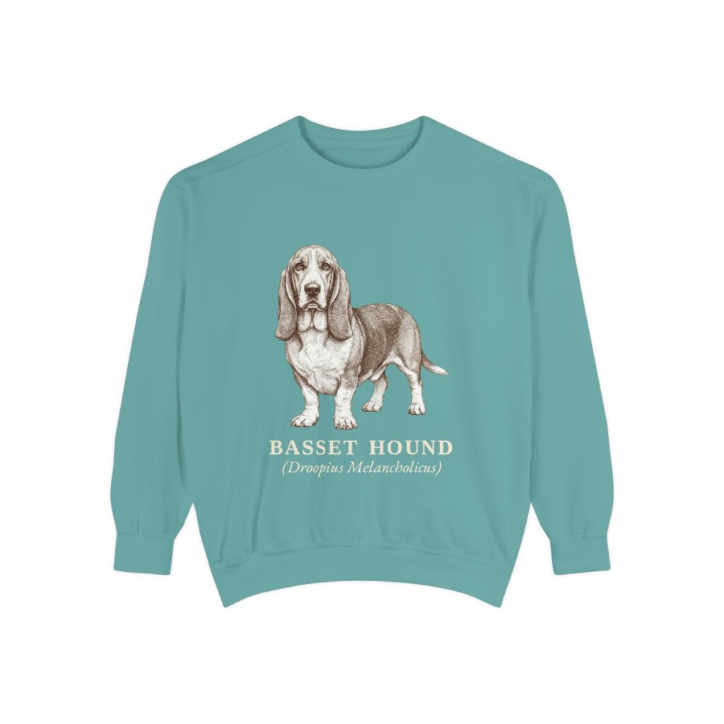 Basset Hound Latin Sweatshirt, Seafoam, front view