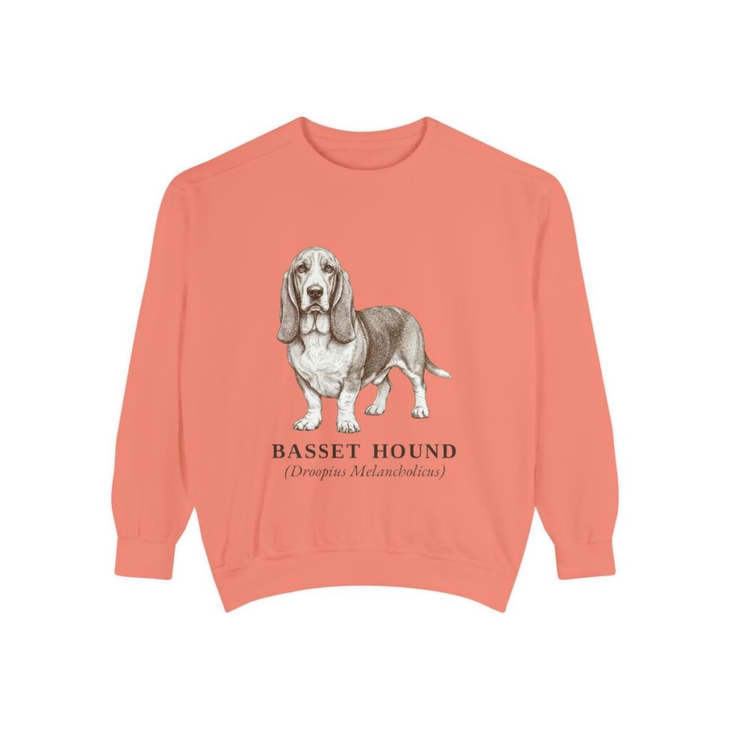Basset Hound Latin Sweatshirt, Terracotta, front view