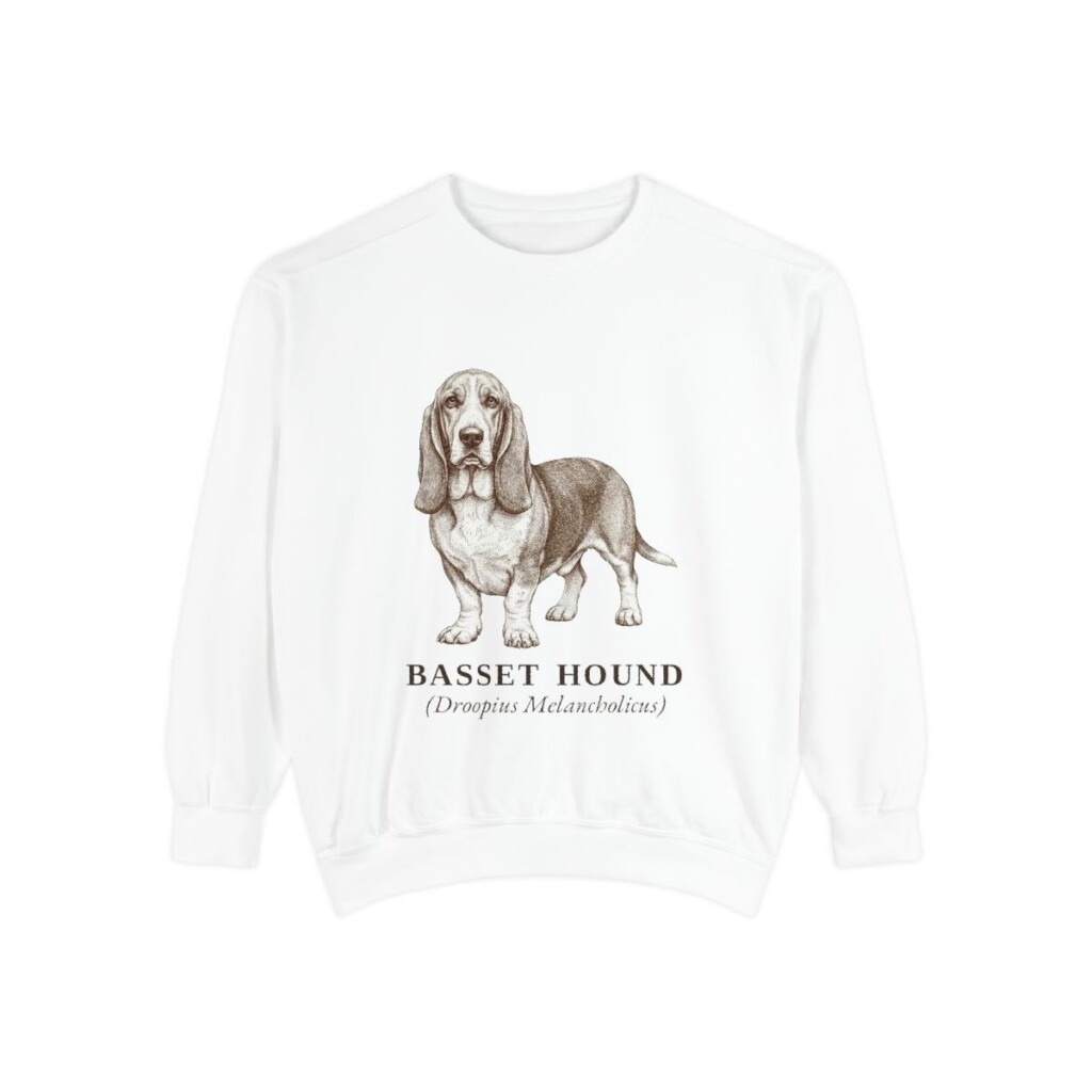 Basset Hound Latin Sweatshirt, White, front view