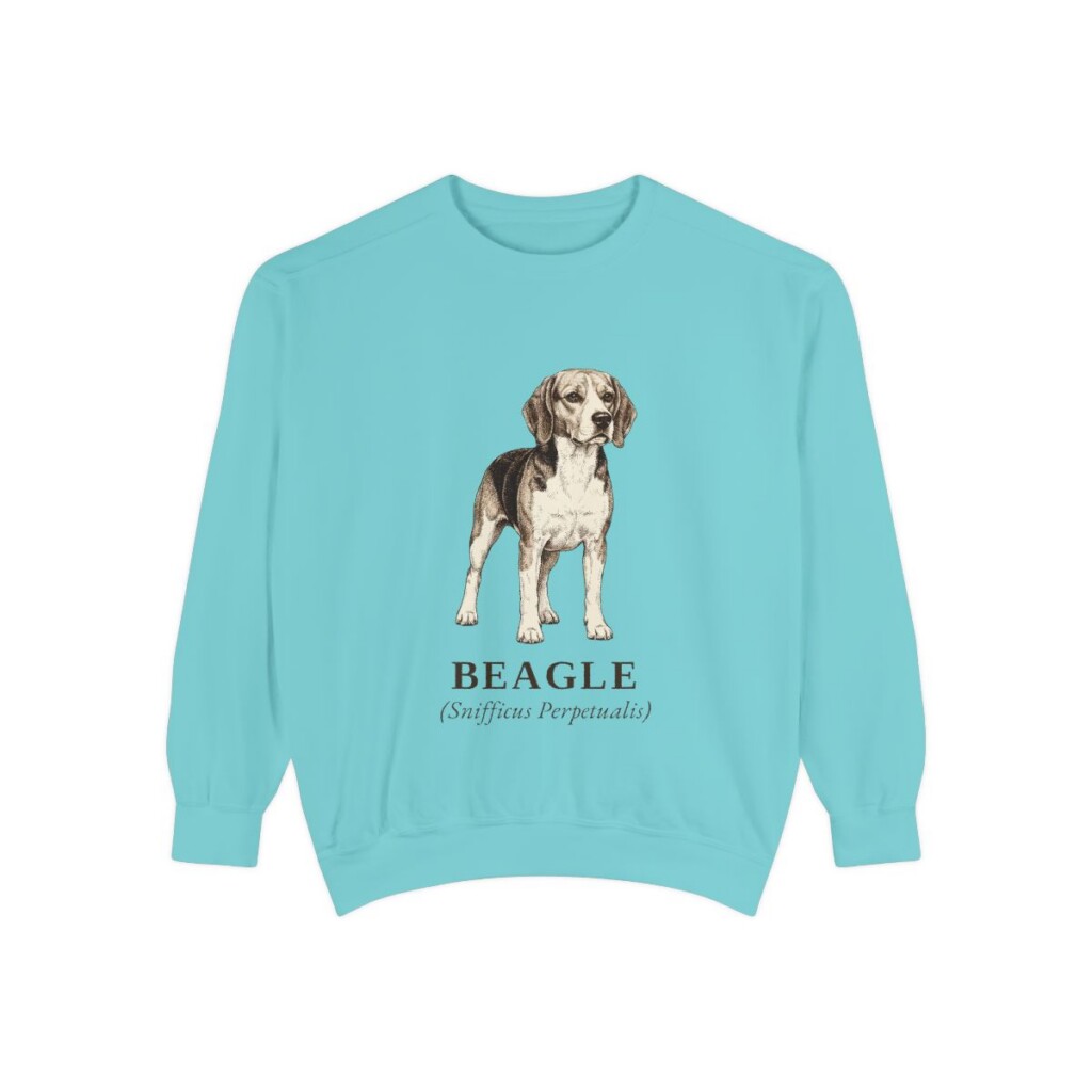 Beagle Latin Sweatshirt, Chalky Mint, front view