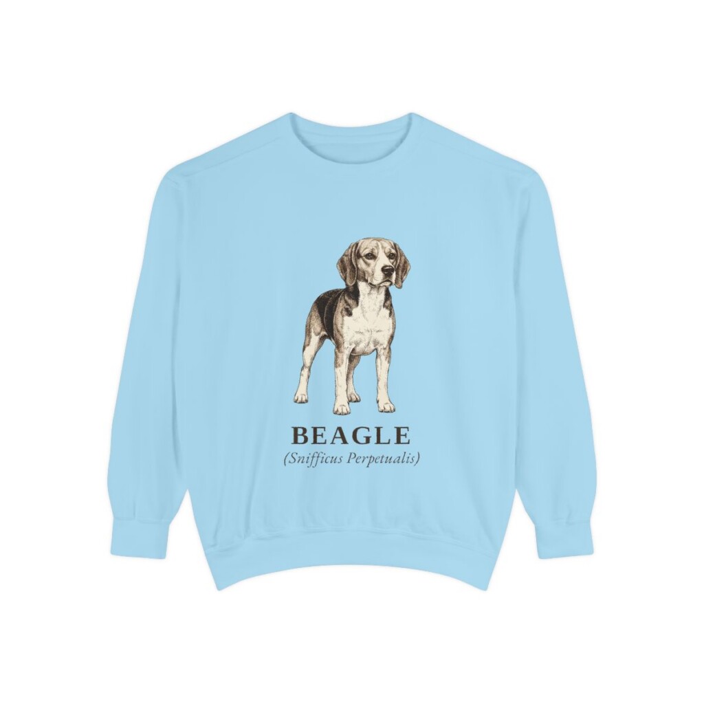 Beagle Latin Sweatshirt, Chambray, front view