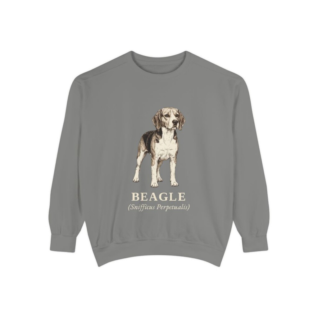 Beagle Latin Sweatshirt, Grey, front view