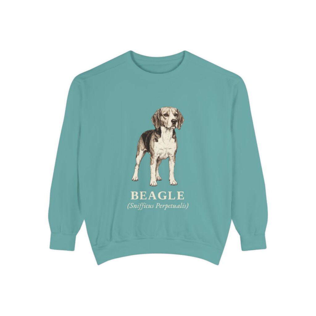 Beagle Latin Sweatshirt, Seafoam, front view