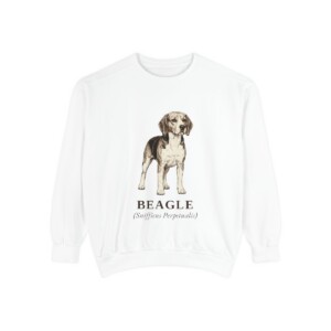 beagle-sweatshirt-latin-white-1 Beagle Latin Sweatshirt, White, front view