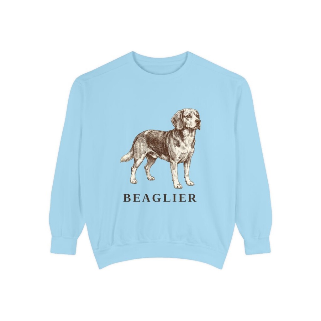 Beaglier Sweatshirt, Chambray, front view