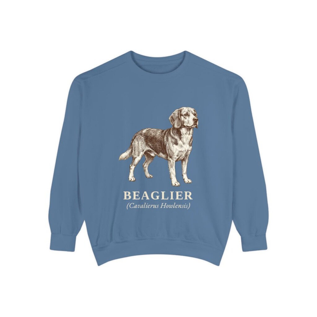 Beaglier Latin Sweatshirt, Blue Jean, front view