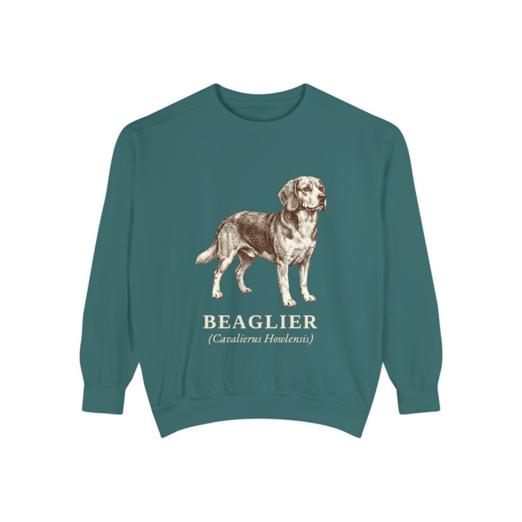 Beaglier Latin Sweatshirt, Blue Spruce, front view