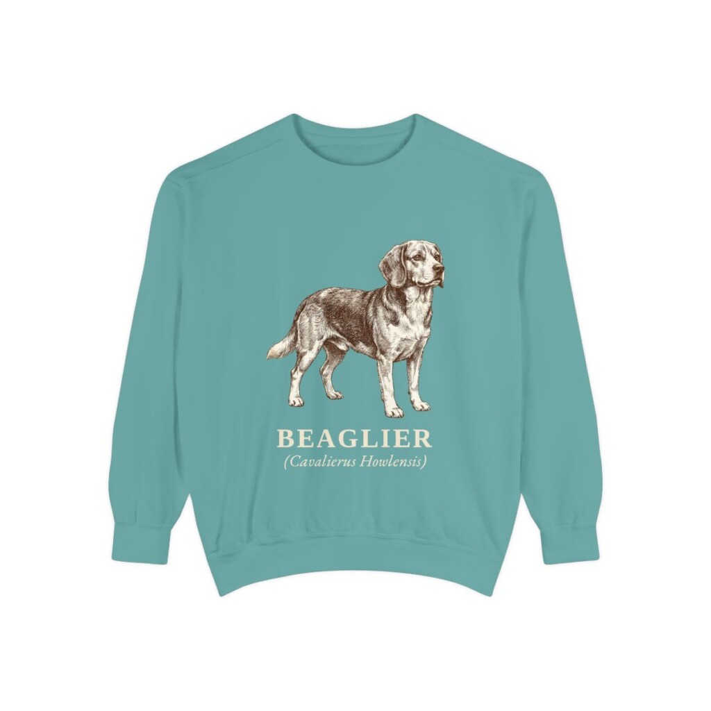Beaglier Latin Sweatshirt, Seafoam, front view