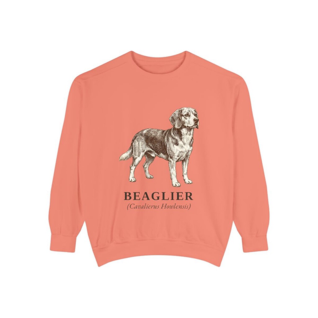Beaglier Latin Sweatshirt, Terracotta, front view