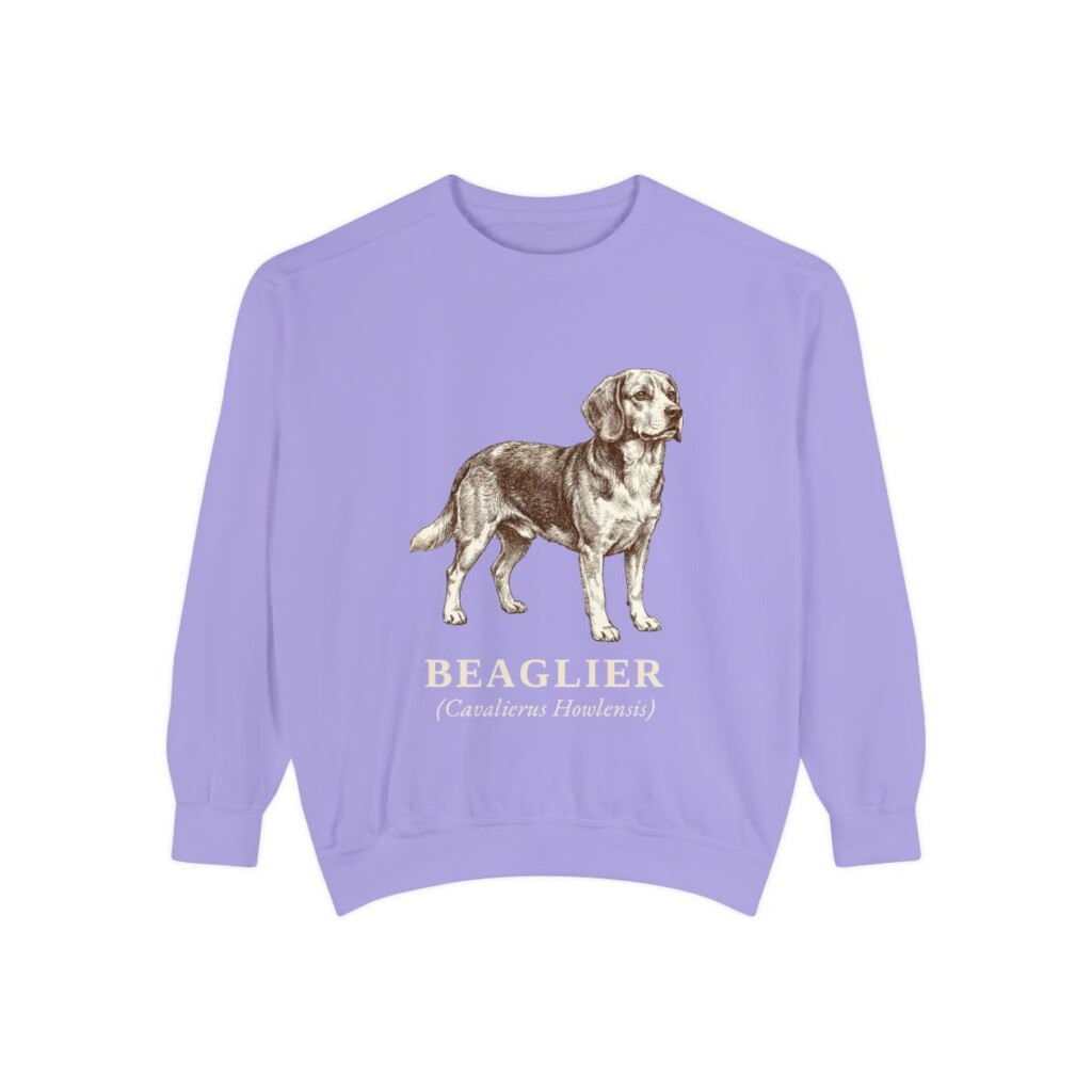 Beaglier Latin Sweatshirt, Violet, front view