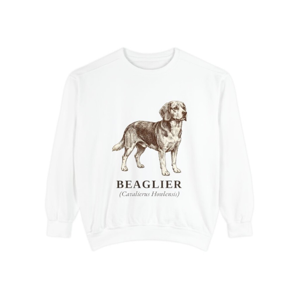 Beaglier Latin Sweatshirt, White, front view