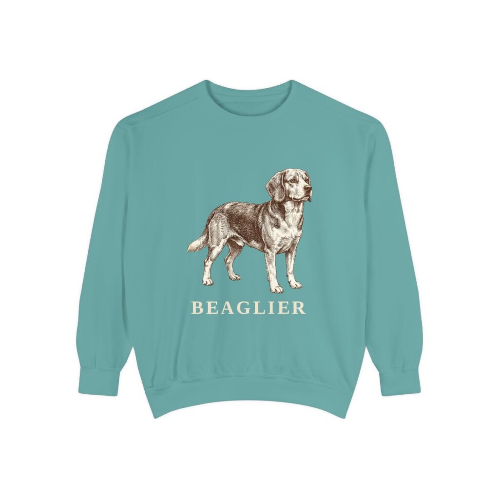 Beaglier Sweatshirt, Seafoam, front view