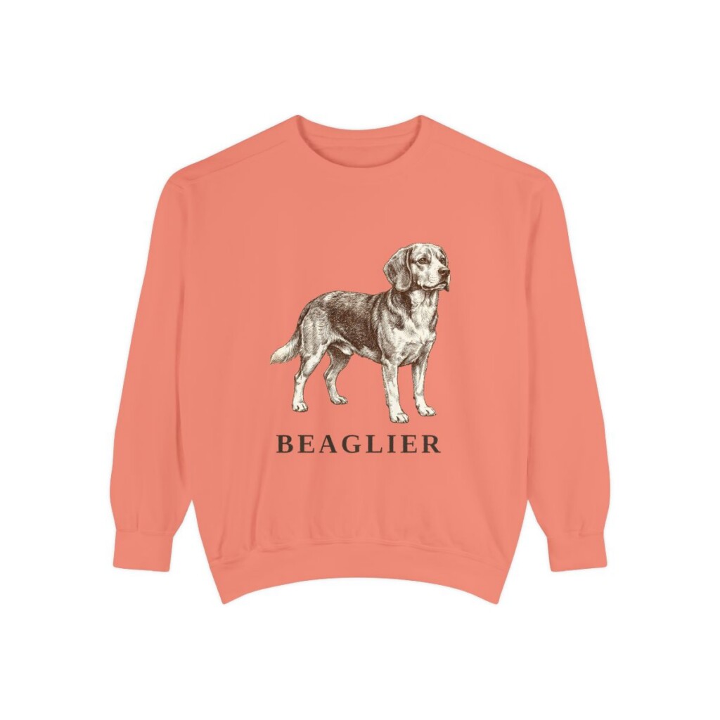 Beaglier Sweatshirt, Terracotta, front view