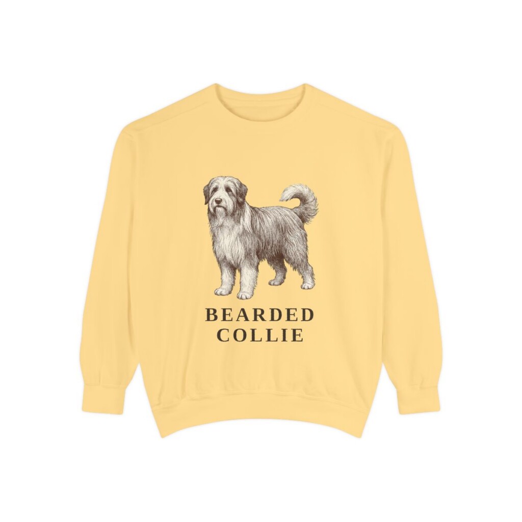 Bearded Collie Sweatshirt, Butter, front view