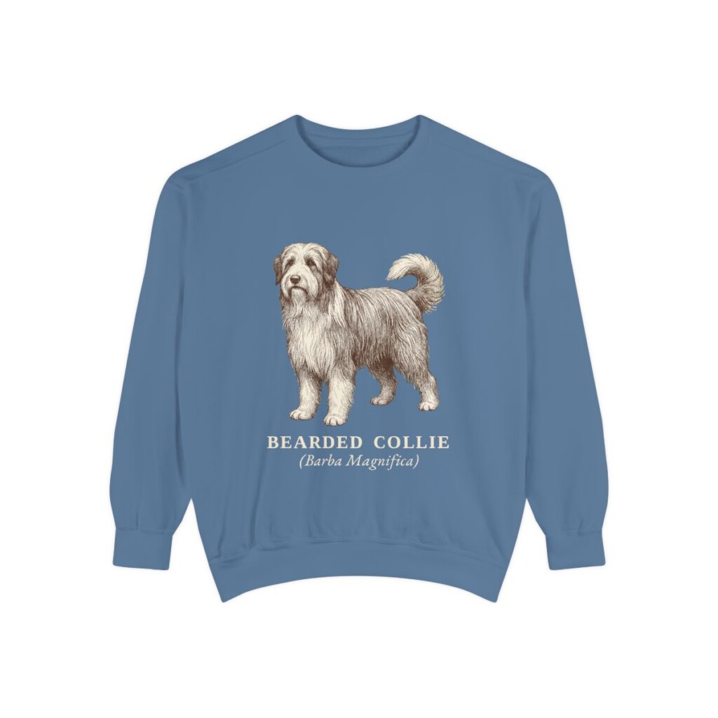 Bearded Collie Latin Sweatshirt, Blue Jean, front view