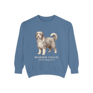 Bearded Collie Latin Sweatshirt, Blue Jean, front view