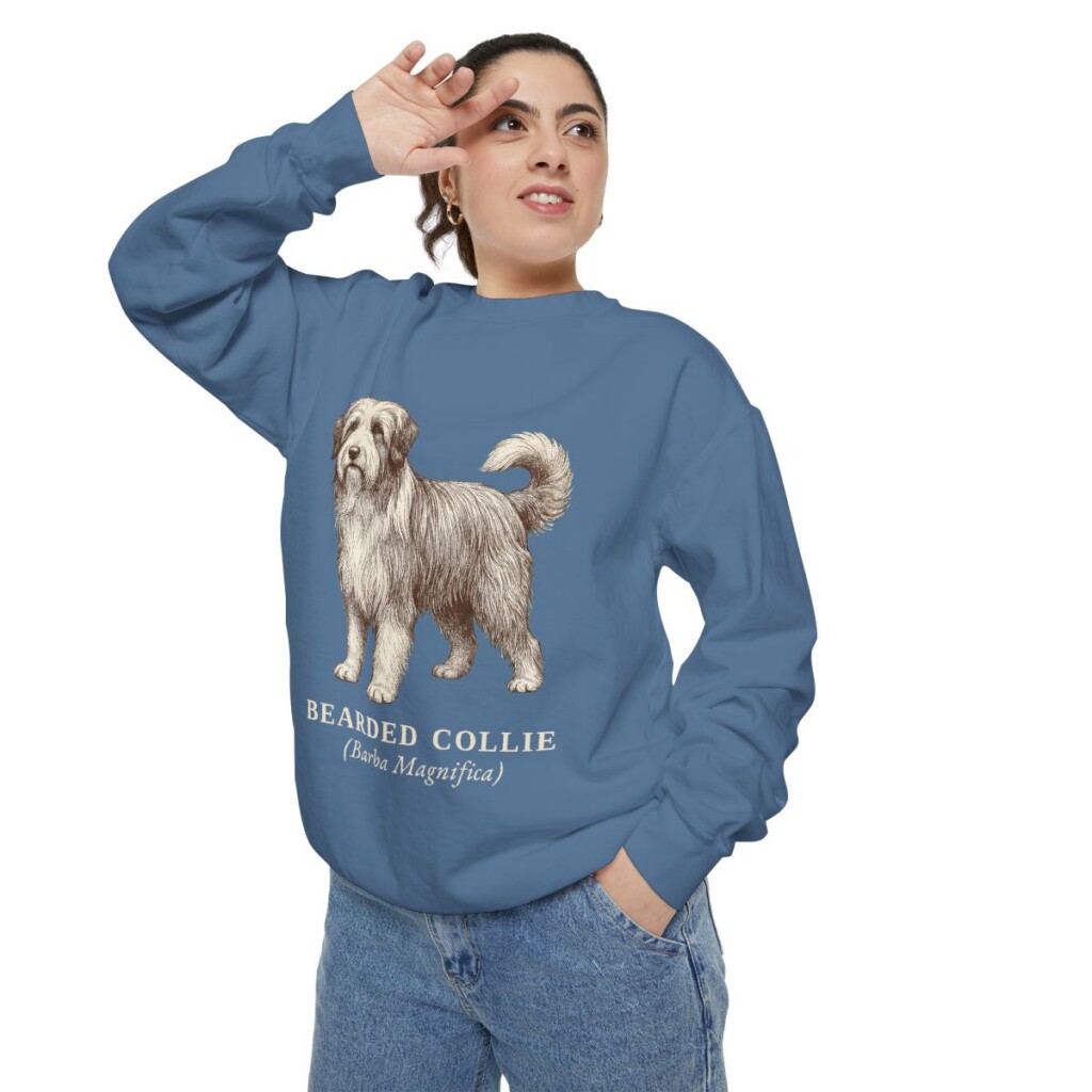 Bearded Collie Latin Sweatshirt, Blue Jean, person 2 context