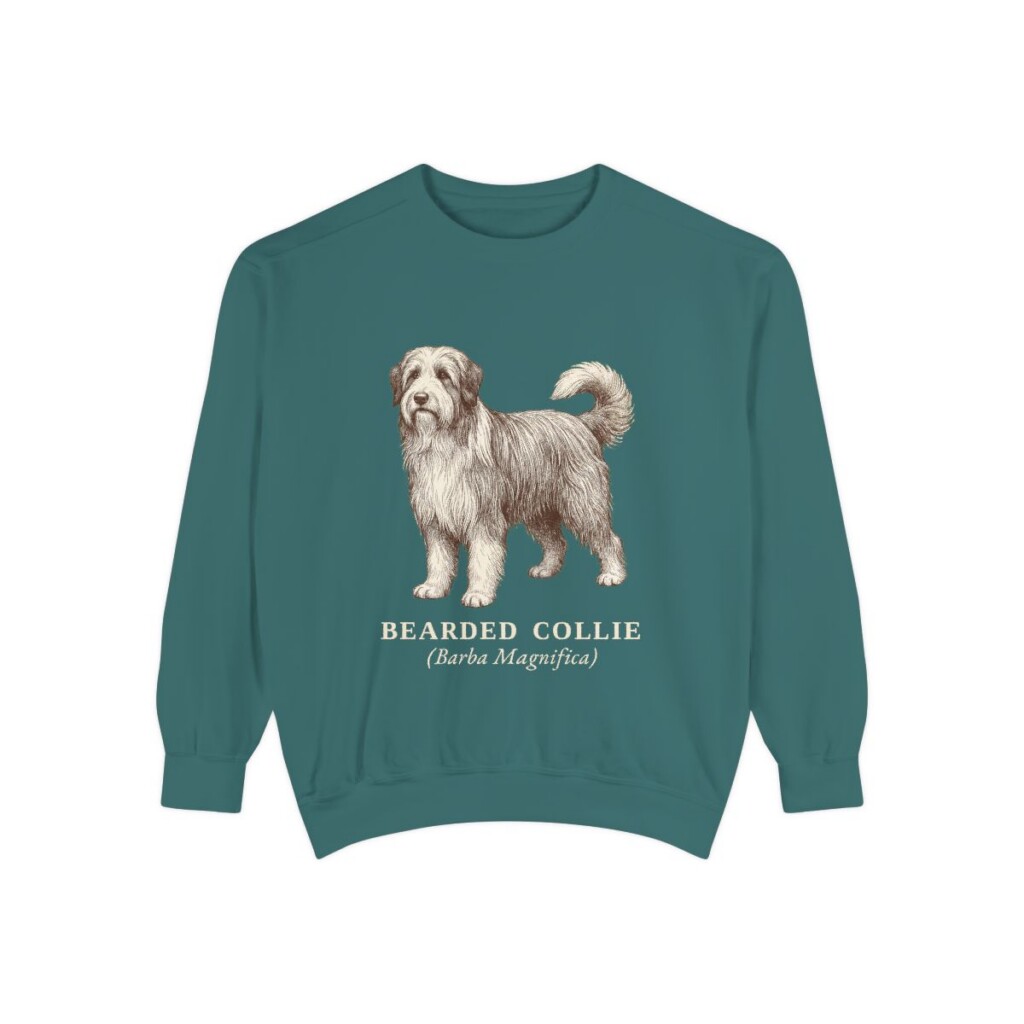 Bearded Collie Latin Sweatshirt, Blue Spruce, front view