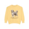 Bearded Collie Latin Sweatshirt, Butter, front view