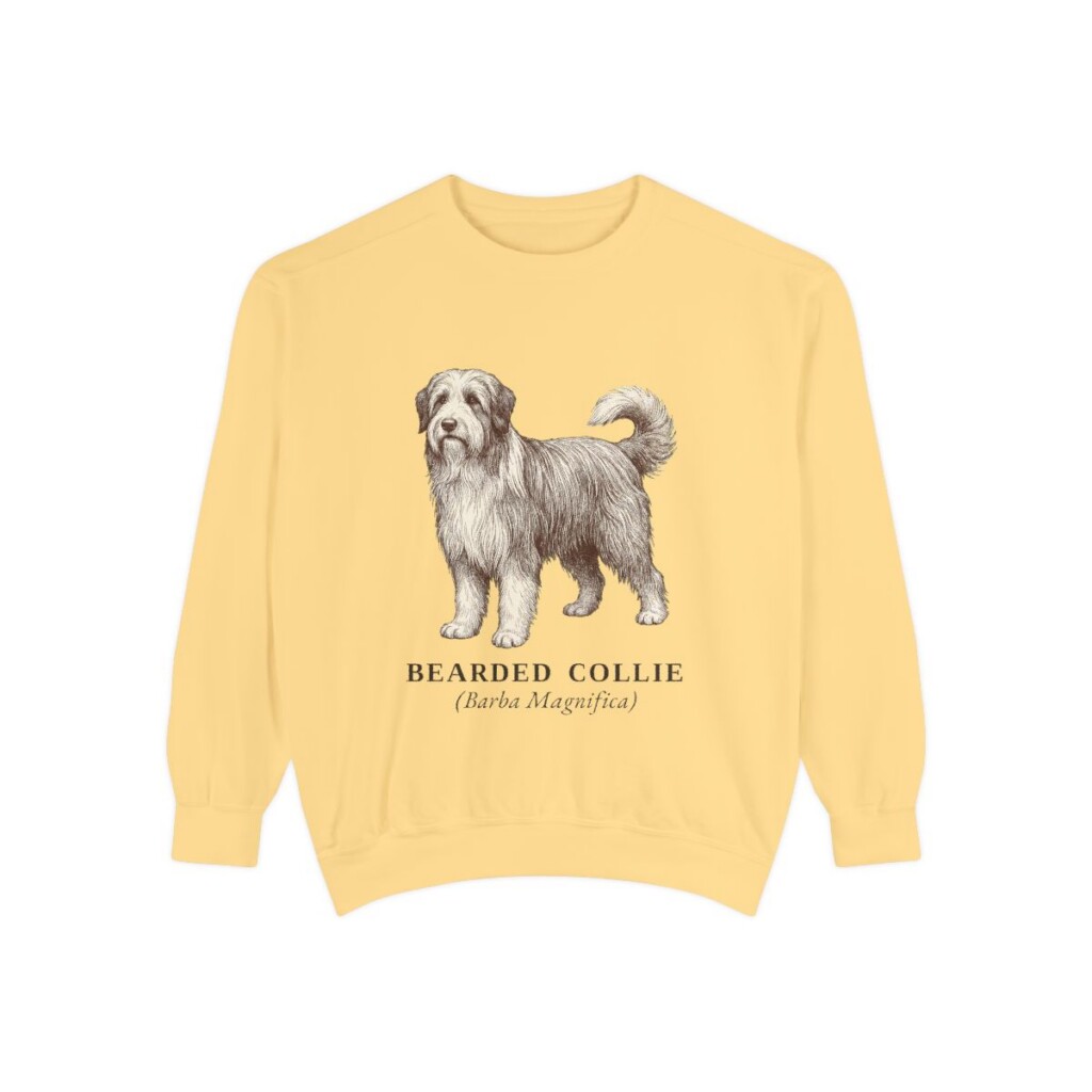 Bearded Collie Latin Sweatshirt, Butter, front view