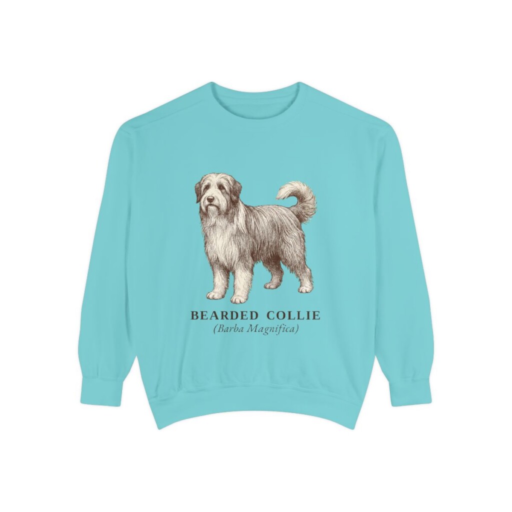 Bearded Collie Latin Sweatshirt, Chalky Mint, front view