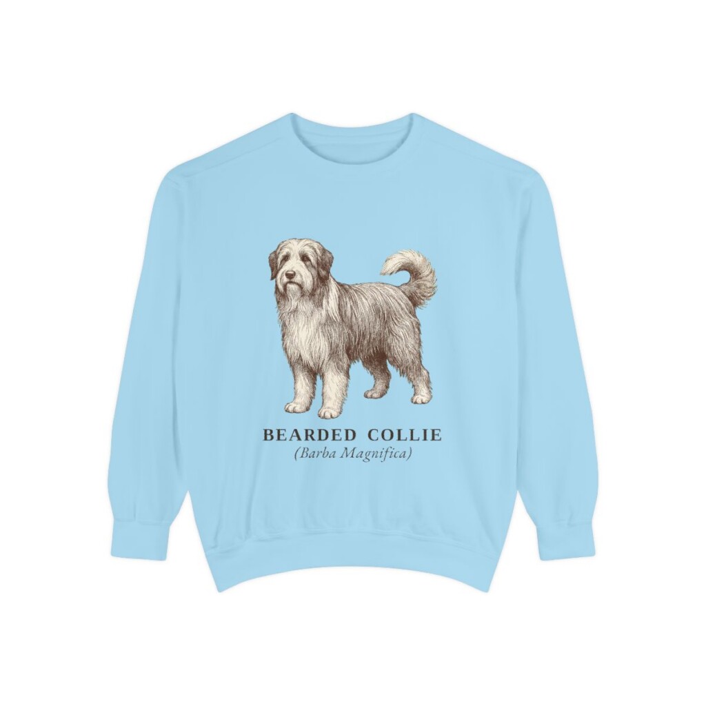 Bearded Collie Latin Sweatshirt, Chambray, front view