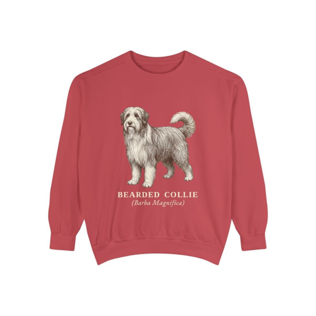 Bearded Collie Latin Sweatshirt, Crimson, front view