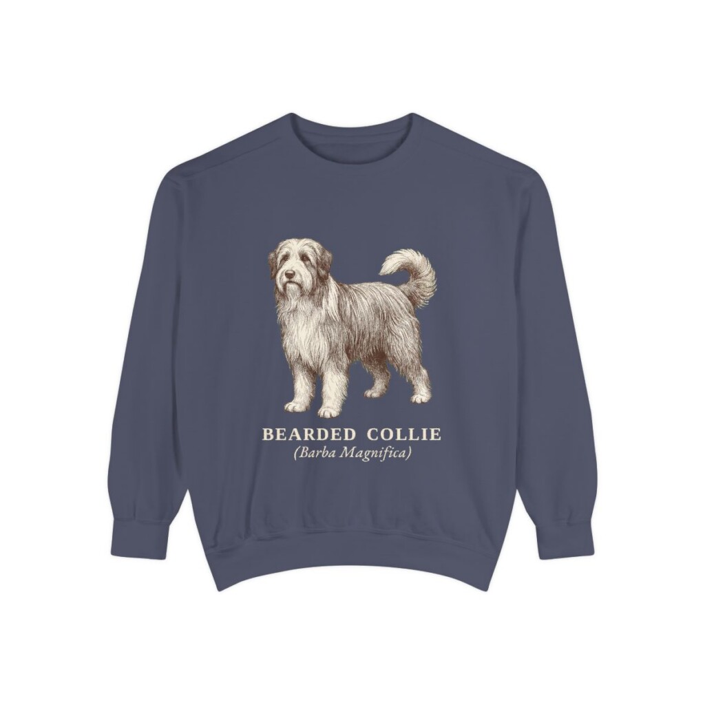 Bearded Collie Latin Sweatshirt, Denim, front view
