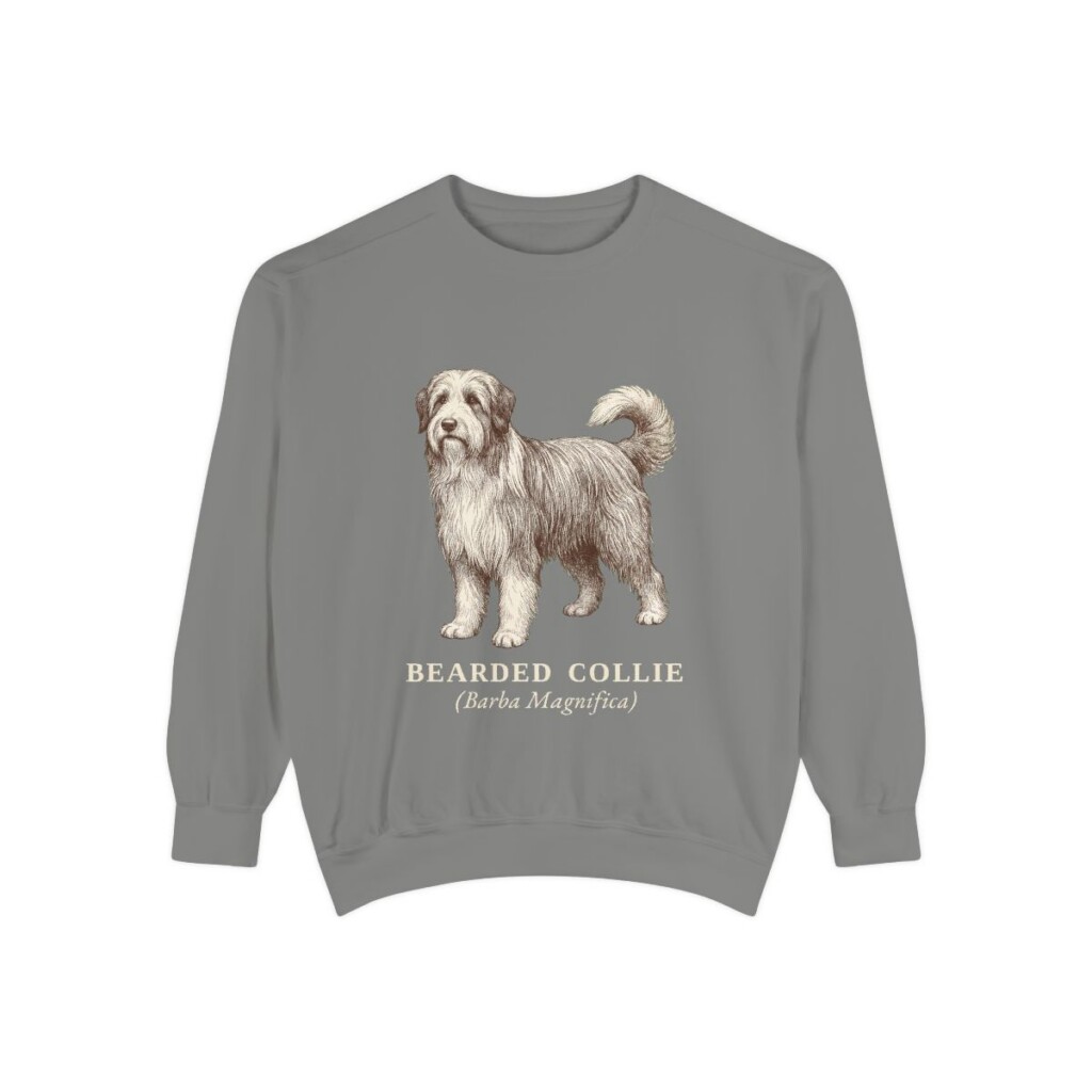 Bearded Collie Latin Sweatshirt, Grey, front view