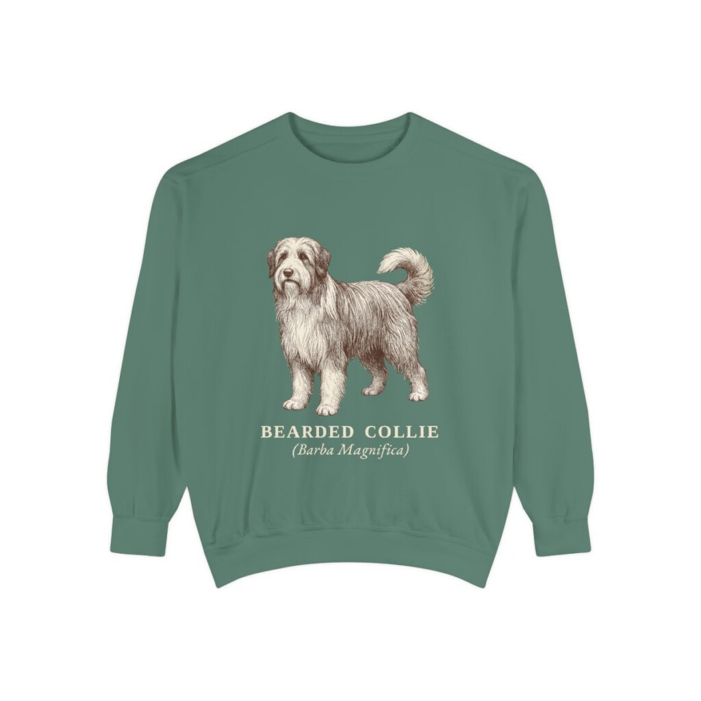 Bearded Collie Latin Sweatshirt, Light Green, front view
