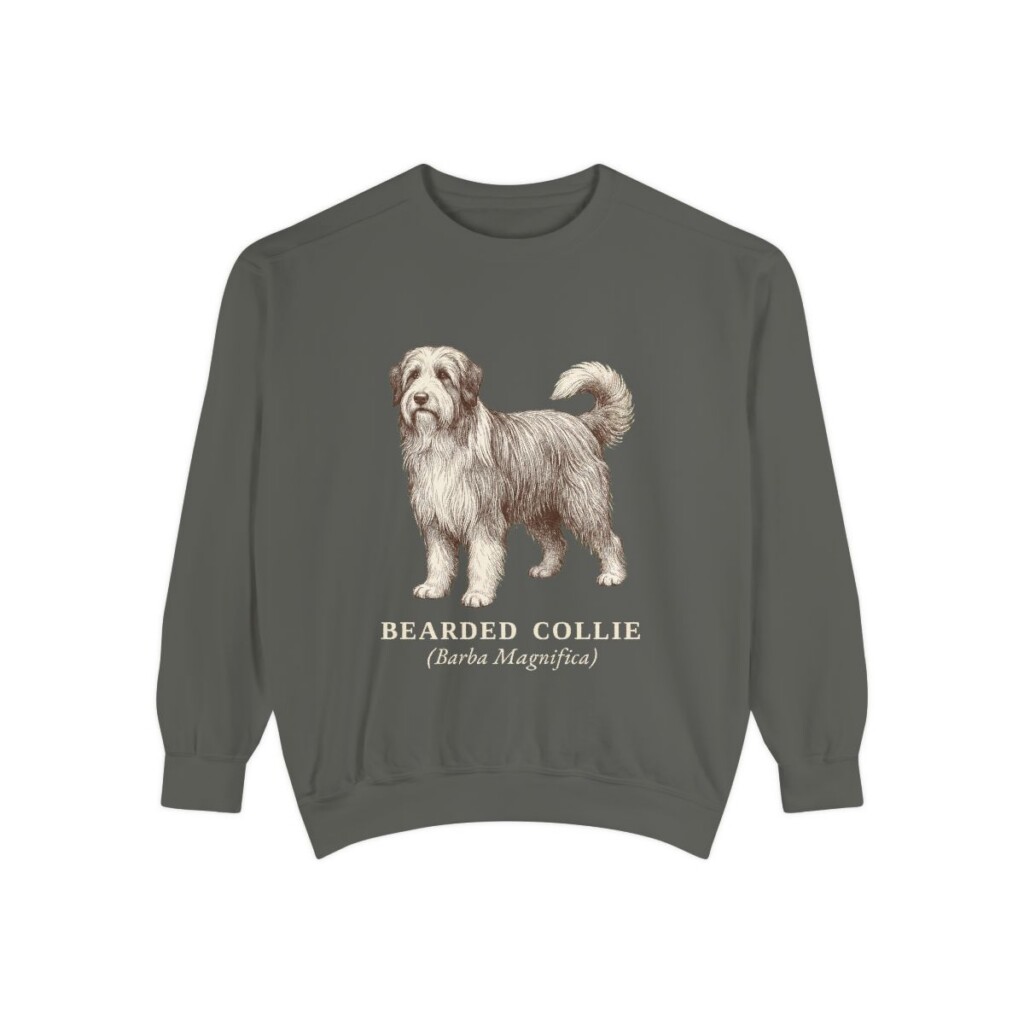 Bearded Collie Latin Sweatshirt, Pepper, front view