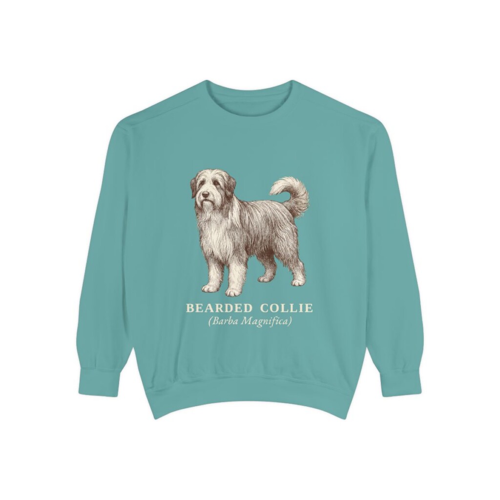 Bearded Collie Latin Sweatshirt, Seafoam, front view