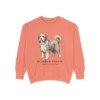 Bearded Collie Latin Sweatshirt, Terracotta, front view