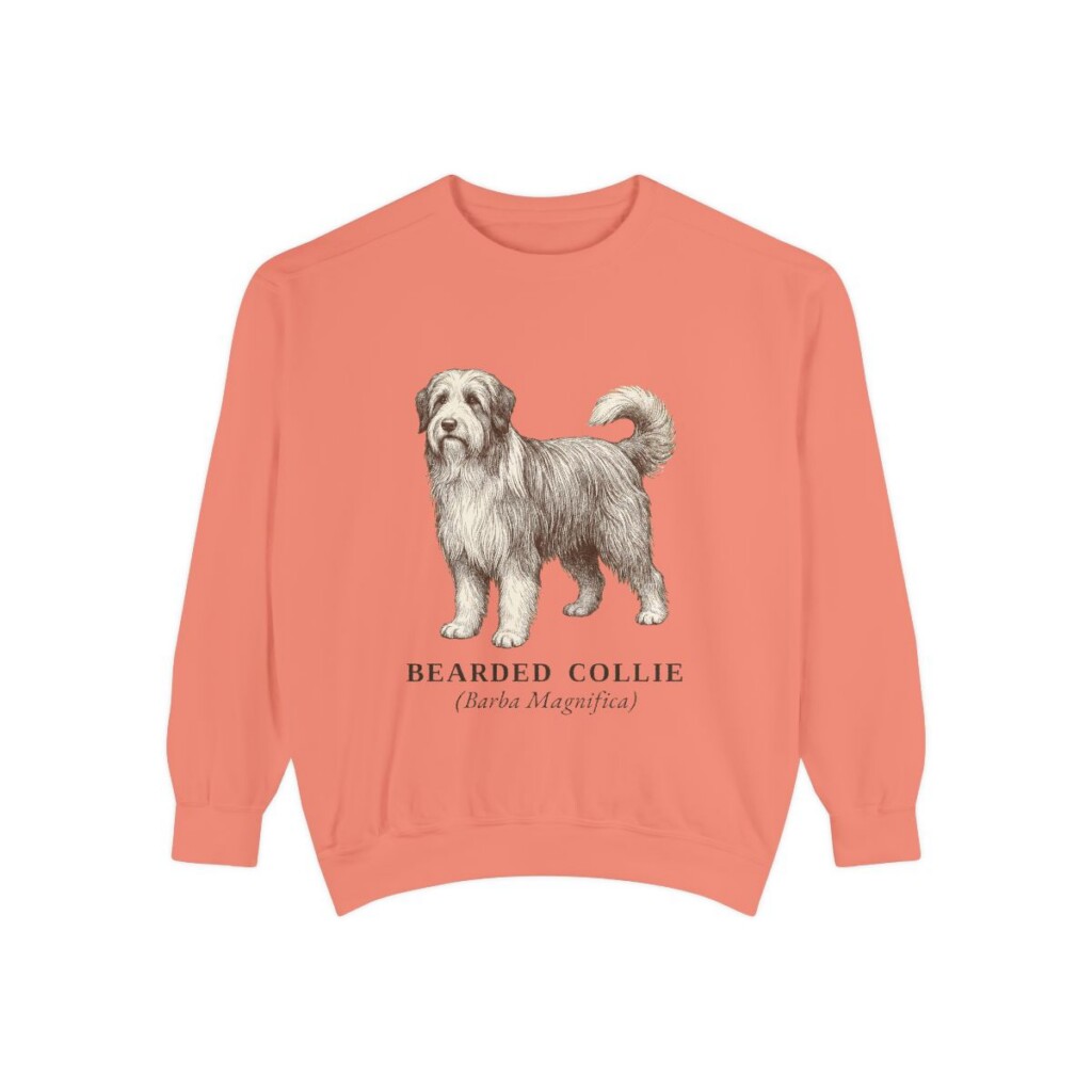 Bearded Collie Latin Sweatshirt, Terracotta, front view