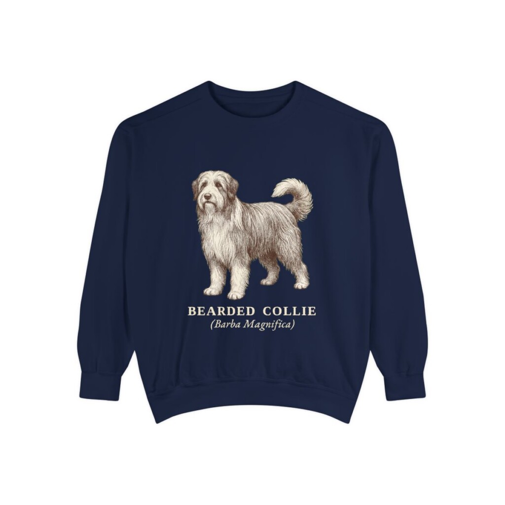Bearded Collie Latin Sweatshirt, True Navy, front view