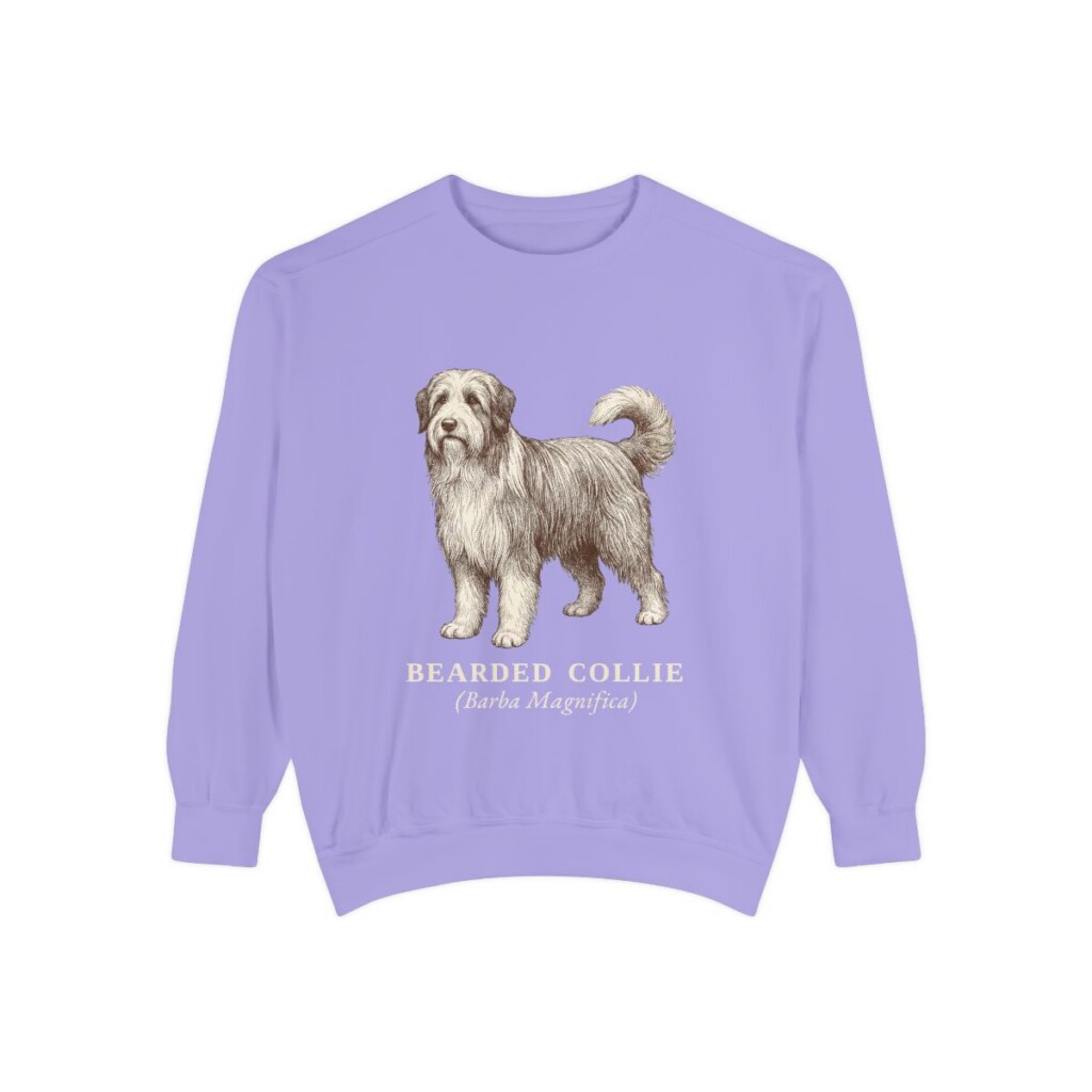 Bearded Collie Latin Sweatshirt, Violet, front view