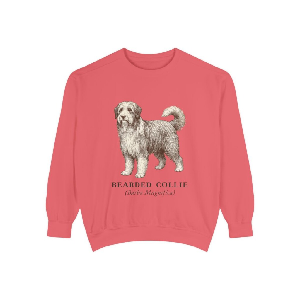 Bearded Collie Latin Sweatshirt, Watermelon, front view
