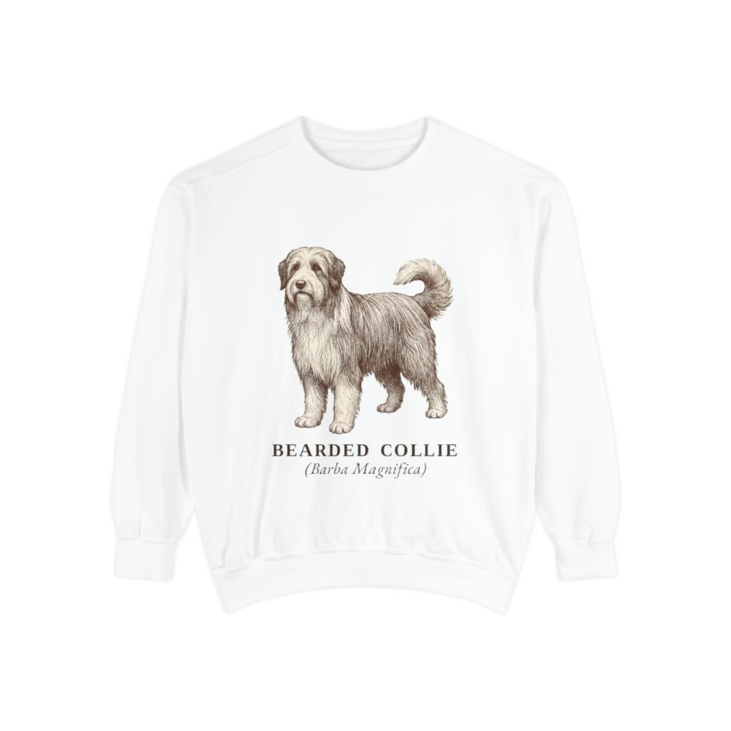 Bearded Collie Latin Sweatshirt, White, front view