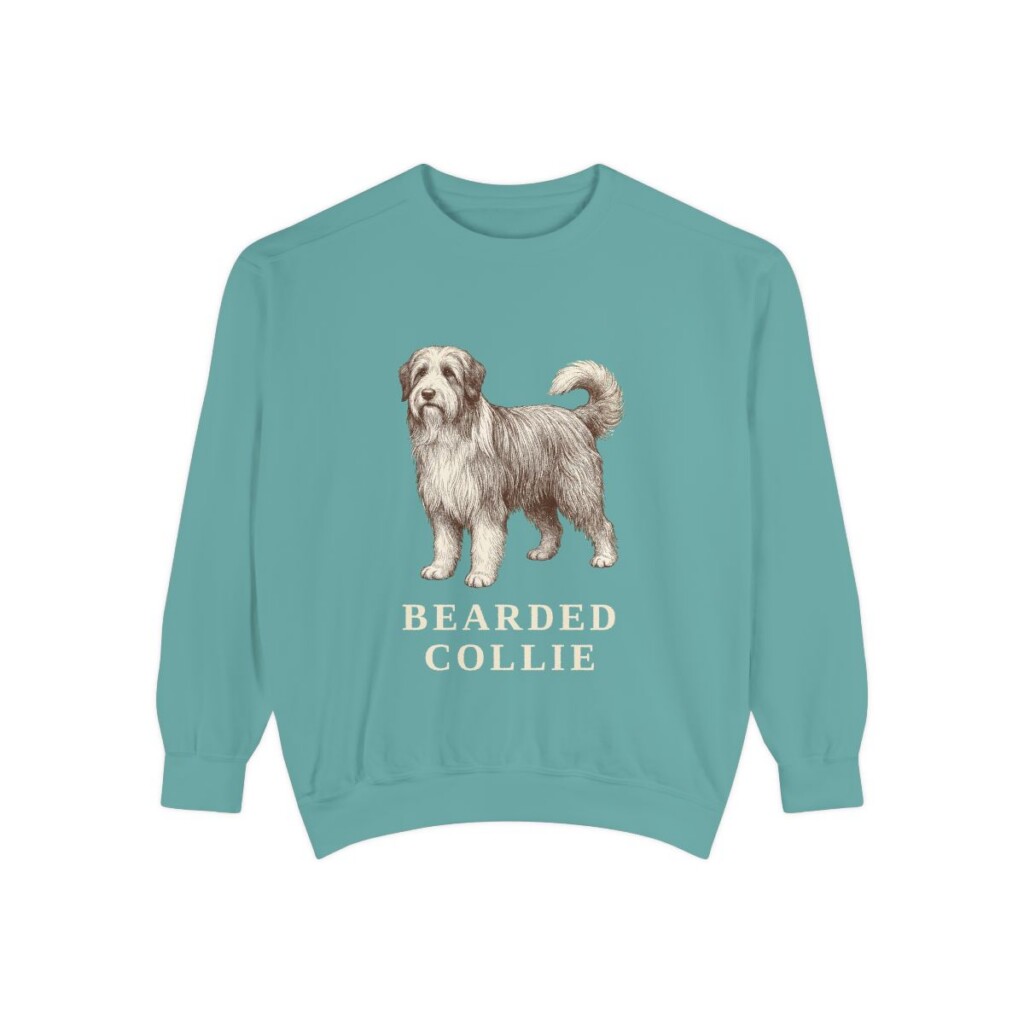 Bearded Collie Sweatshirt, Seafoam, front view