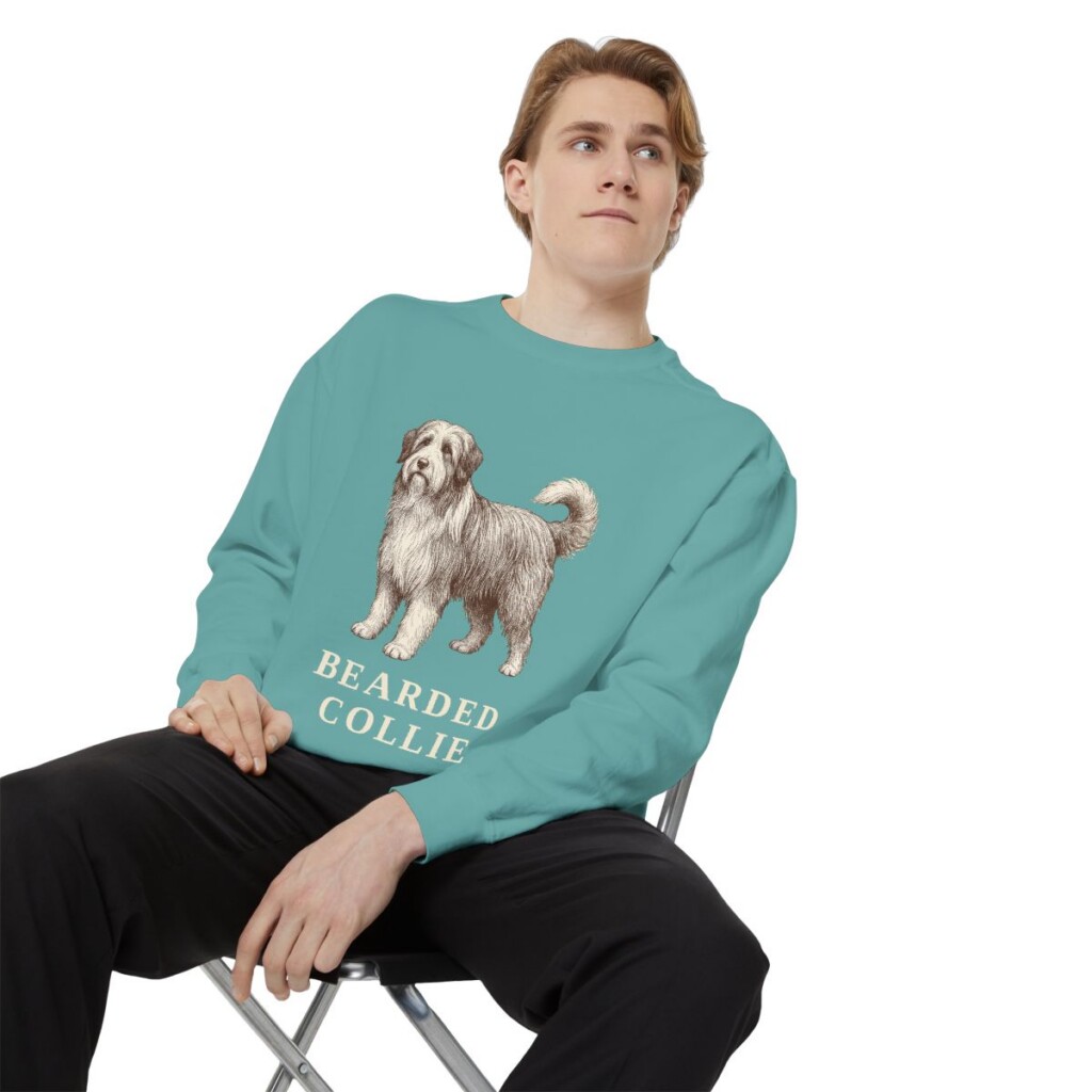 Bearded Collie Sweatshirt, Seafoam, person 1 context