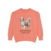 Bearded Collie Sweatshirt, Terracotta, front view