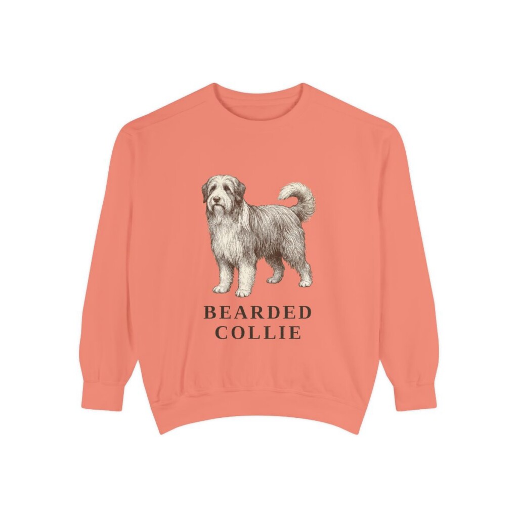 Bearded Collie Sweatshirt, Terracotta, front view