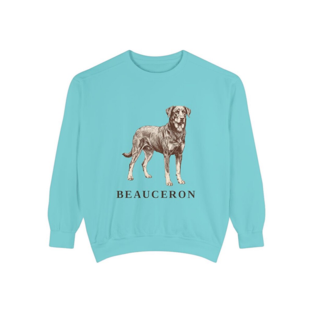 Beauceron Sweatshirt, Chalky Mint, front view