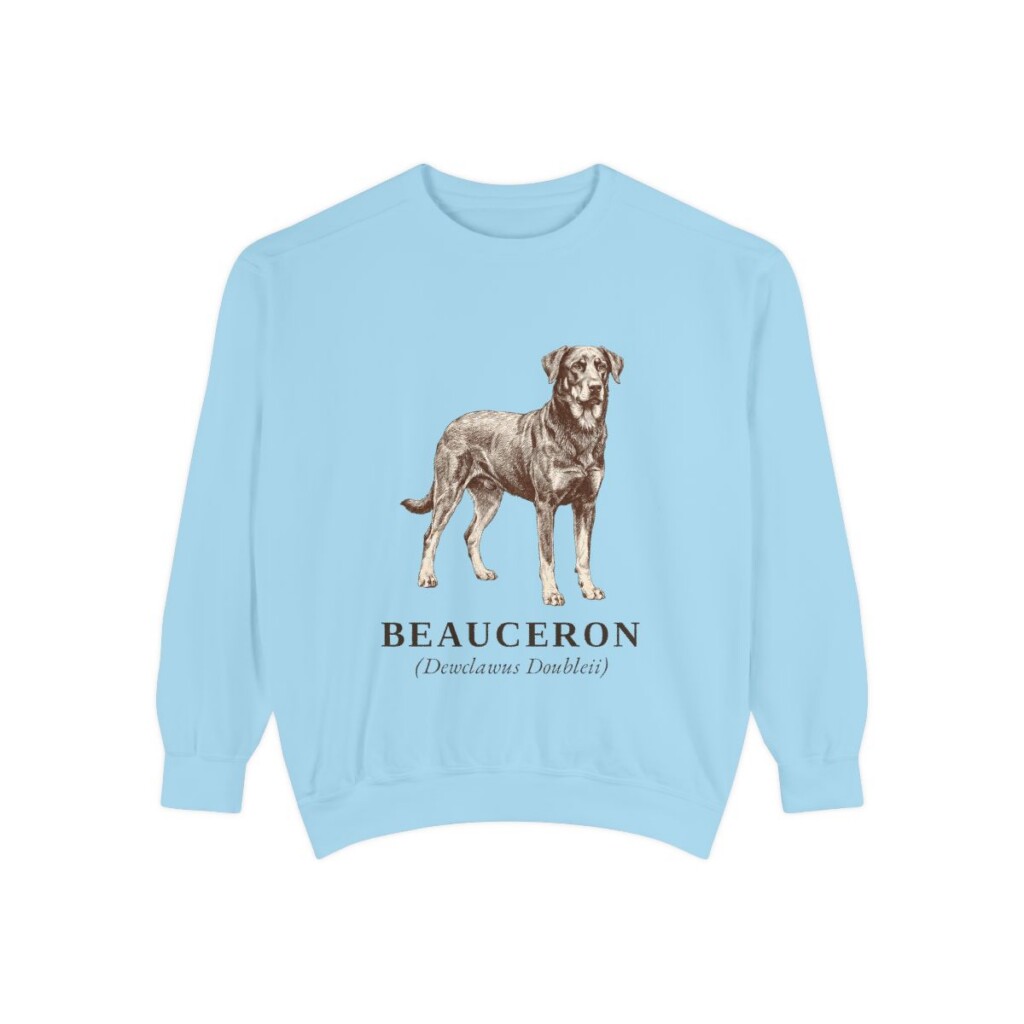 Beauceron Latin Sweatshirt, Chambray, front view