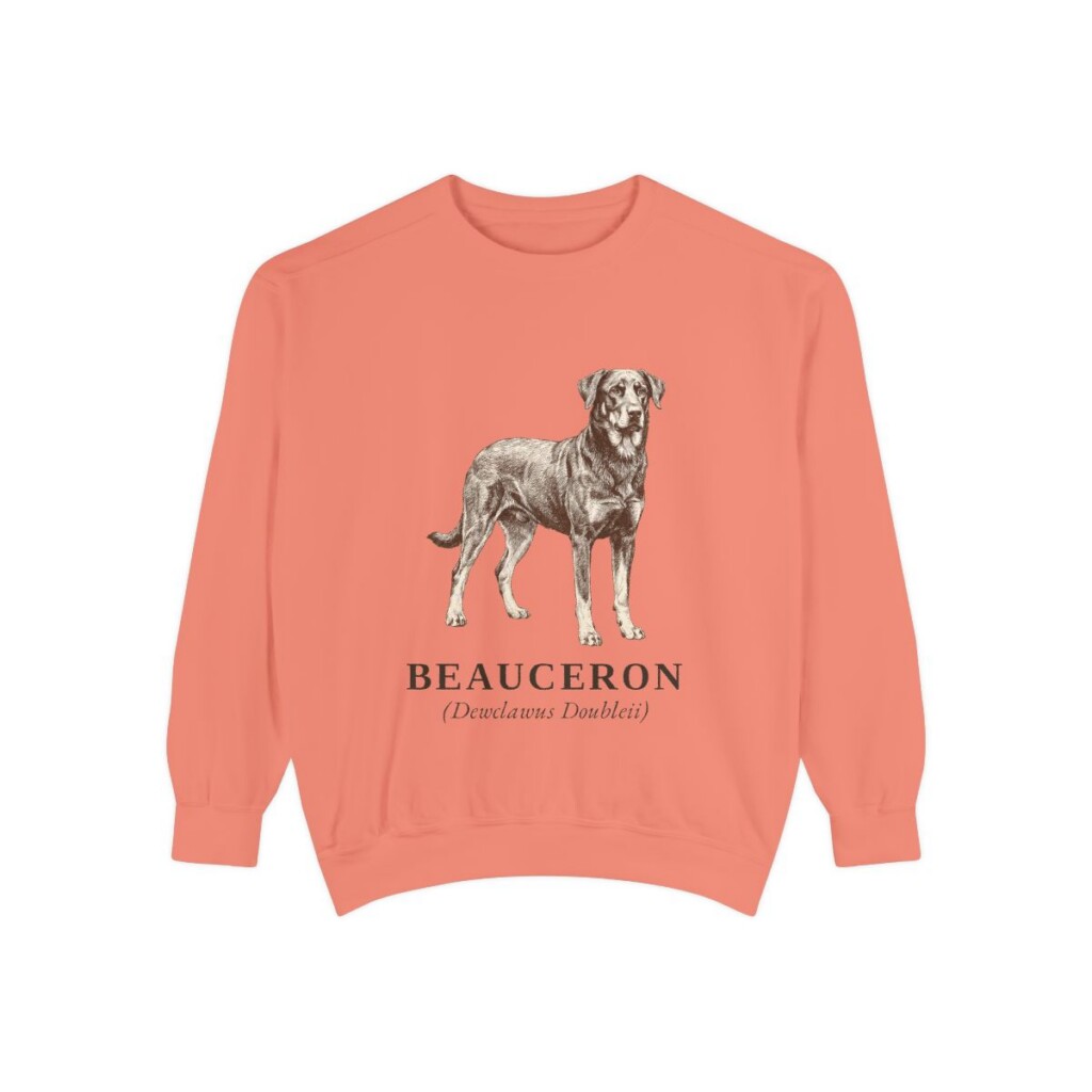 Beauceron Latin Sweatshirt, Terracotta, front view